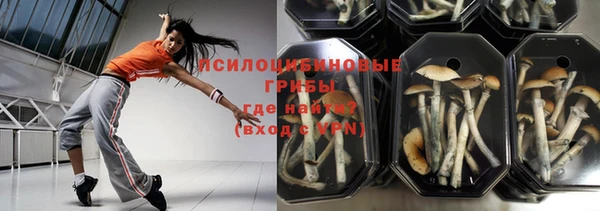 бошки Волгодонск