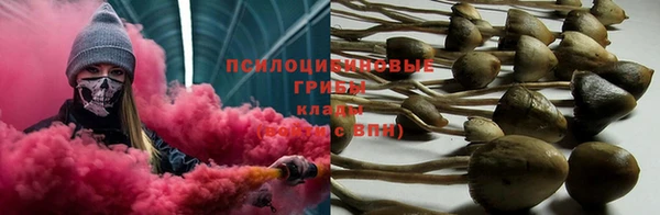 хмурый Инта