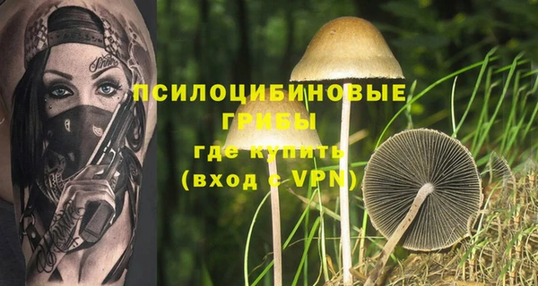 бутират Алзамай