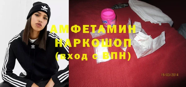 гидра Алексеевка