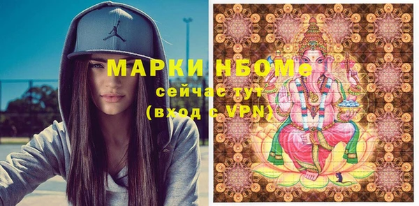 Альфа ПВП Инсар