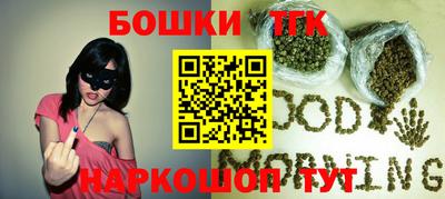 гидра Новодвинск