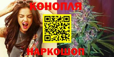 гидра Новодвинск