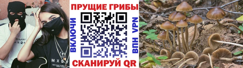 Галлюциногенные грибы прущие грибы  сколько стоит  Узловая 