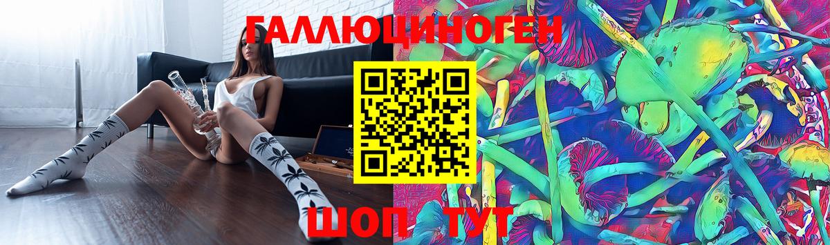 Галлюциногенные грибы Psilocybe Узловая