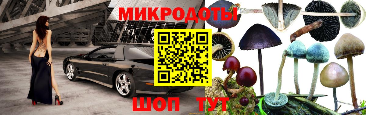 Галлюциногенные грибы Cubensis  Вход с VPN  Узловая 